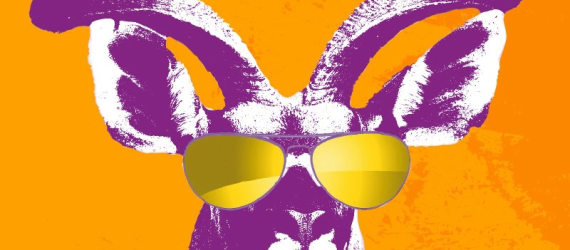 SPAR Kirkwood Wildsfees celebrates 20 years of success