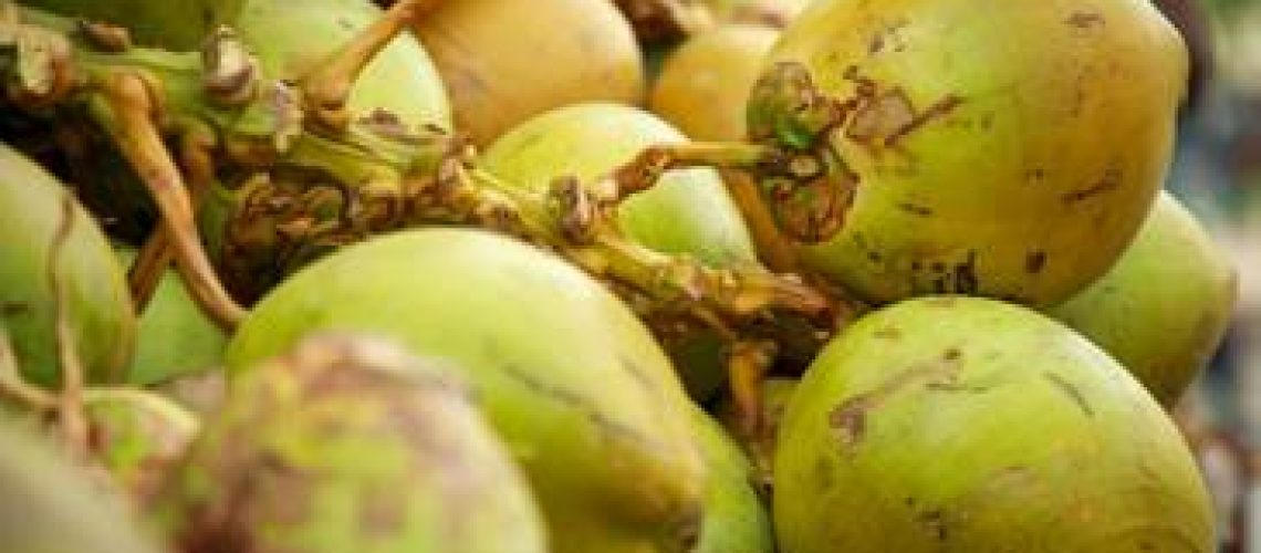 Oleos do Sul