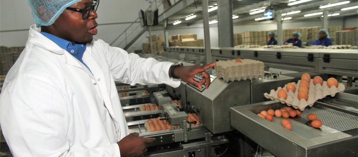 Government support will help transform poultry industry, ensure food security